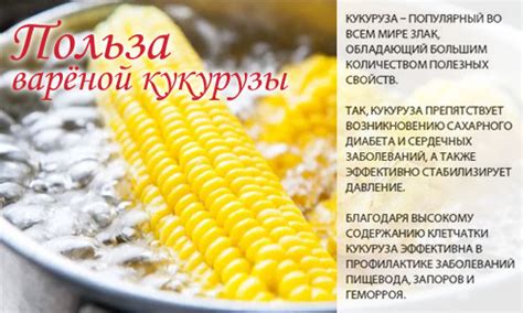 Кукуруза варёная - калорийность, полезные свойства, польза и вред ...