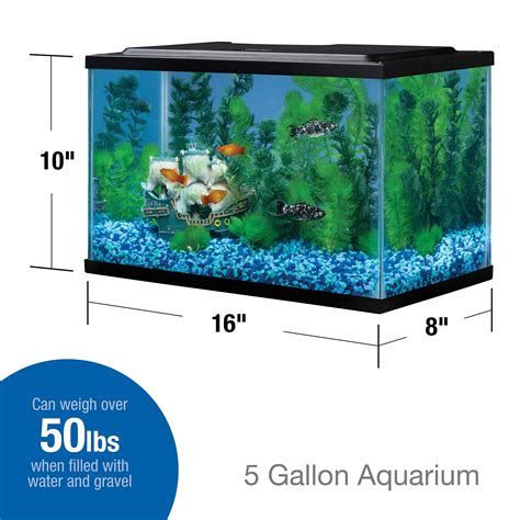 5 Gallon Glass Aquarium 5 Gallon Aquaculture Aquarium Kit Review