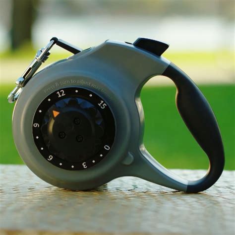 dial-a-distance retractable dog leash lifestyle image