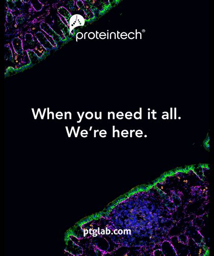 Immune Checkpoint Inhibitor Therapy: Revolutionizing Cancer Treatment ...