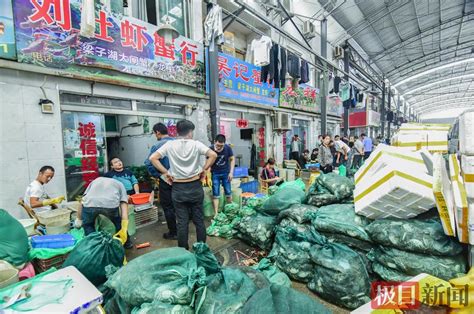 汉川与武汉螃蟹率先出水上市，价格比去年国庆黄金周前稳中趋降-武汉市农业农村局