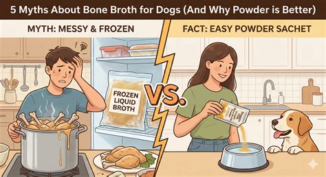 5 Bone Broth Myths for Dogs: Powder vs. Liquid | Doggos India