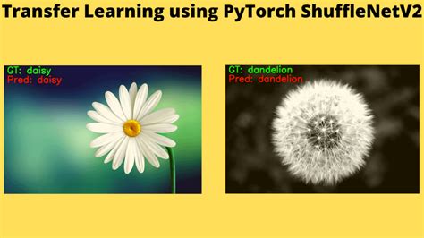 Image result for Dataset Shuffle Pytorch