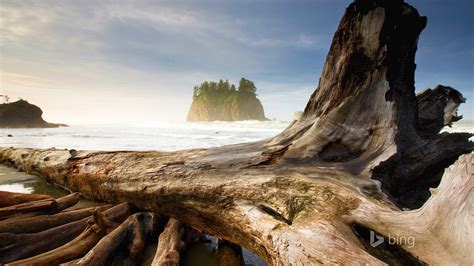 Bing壁纸下载 的图像结果