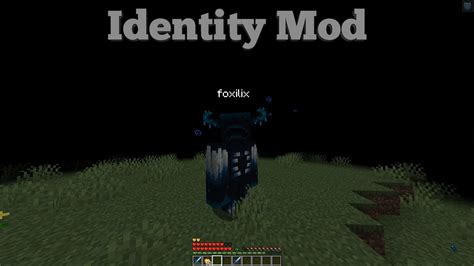 Image result for Minecraft Identity Device Mod