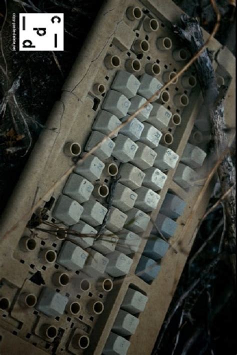 Image result for How to Copy Paste Delete