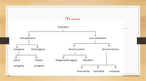 Image result for Functions of Labelling Class 12 Bio Ch. 1 Groth of Pollen Tube