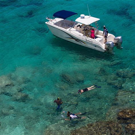 SALT CAY WHALE ADVENTURES (2026) All You Need to Know BEFORE You Go ...