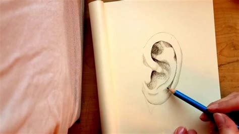 Image result for Shade N Tutorials