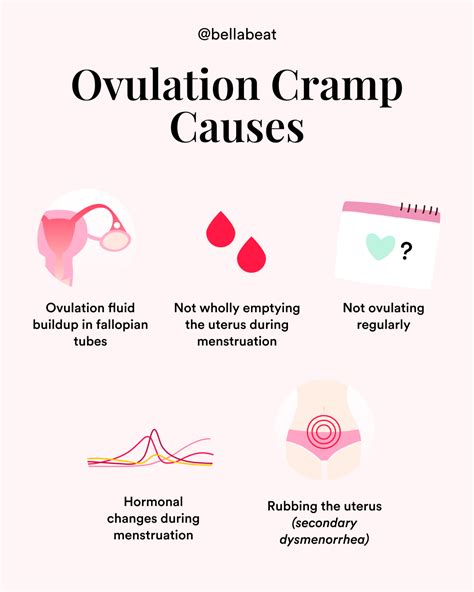 Cramping During Ovulation