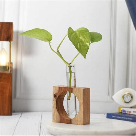 Test Tube with Wooden Planter Stand Without Money Plant Showpiece Plant ...