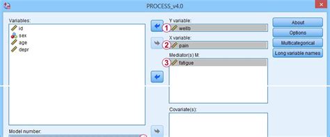 Image result for SPSS Programming