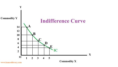 Image result for Indifference Curve Examples