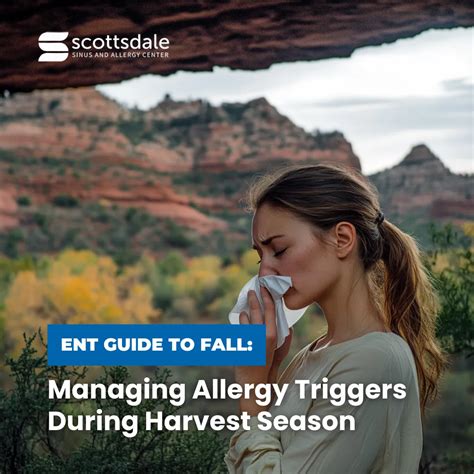 Managing Allergy Triggers During Harvest Season | Scottsdale Sinus ...