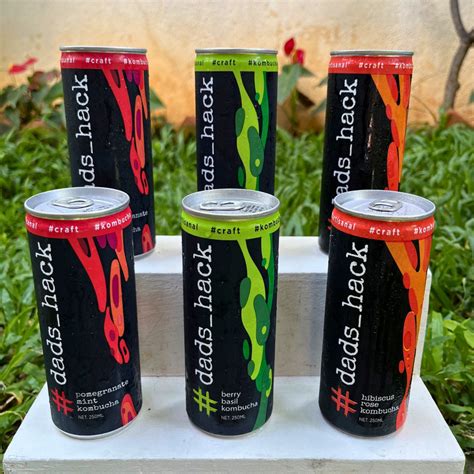 Pack of 6 Cans Mix Flavors - With option to choose flavours – Dad's Hack