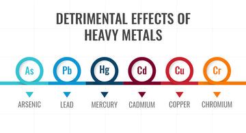 Detrimental Effects of Heavy Metals