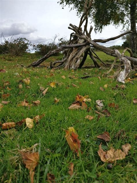 THE BEST Heritage Hotels in New Forest National Park Hampshire (with ...