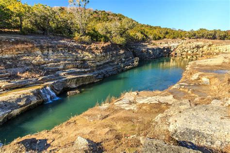 25 Facts About Canadian Wildlife - Facts.net