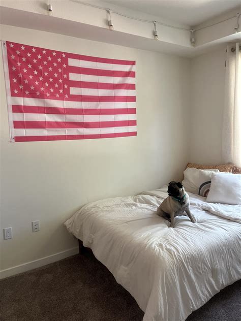 Amazon.com : 3x5 FT Pink American Flag Standard United States Flag, USA ...