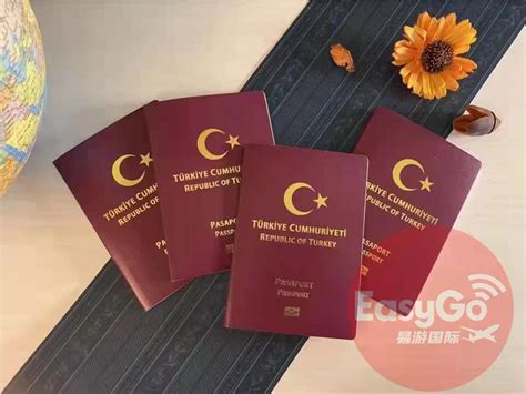 土耳其护照移民_和中移民