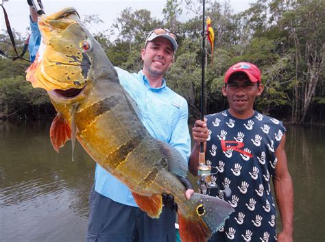 Big Fishes of the World: PEACOCK BASS SPECKLED (Cichla Temensis)