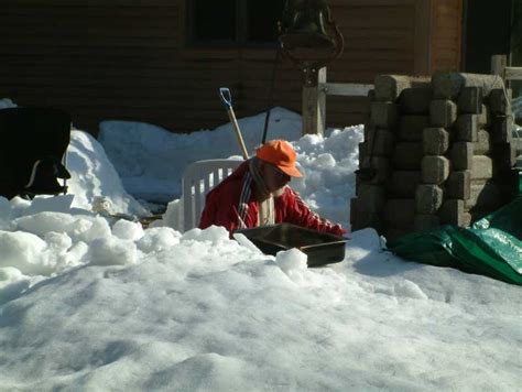 Syrup 的图像结果