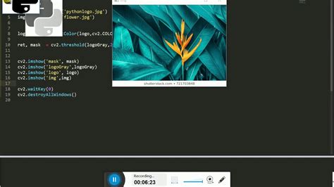 Image result for How to Make Logo in Python