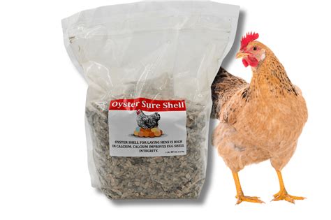 Oyster Sure Shell Calcium Supplement 5 lb - My Favorite Chicken