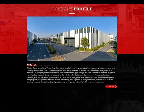 Company Overview - Tianjin Ruida Longsheng Technology Co., Ltd.