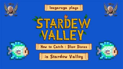 Stardew Valley Blue Discus 的图像结果
