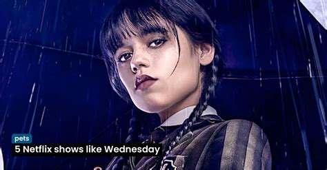 5 Netflix shows like Wednesday while you wait for season 2