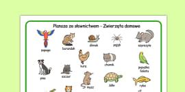 Karty ze slownictwem Zwierzeta po polsku (teacher made)