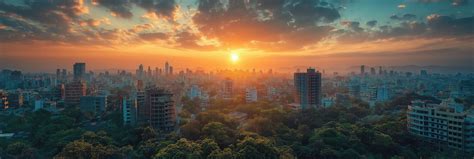 Prefect Property Consultancy