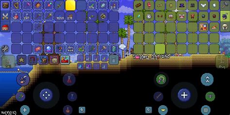 I got 10 unique Traveling Merchant items : r/Terraria