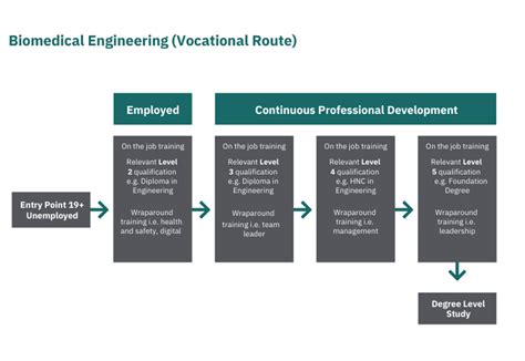 Biomedical Engineering Course Requirements 的图像结果
