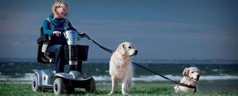 Folding electric mobility scooter rental - VEMRENT