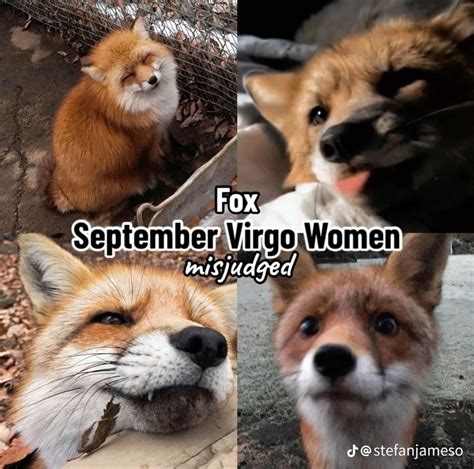 Virgo Women: Misjudged Fox - Virgo Spirit Animal