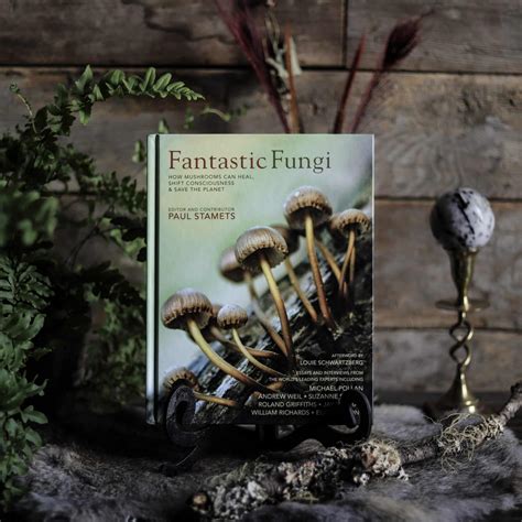 Fantastic Fungi: Expanding Consciousness, Alternative Healing ...