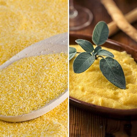 Cornmeal vs Polenta: Differences, Similarities, & More