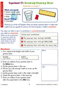 Image result for Free Printable 3rd Grade Science Worksheets