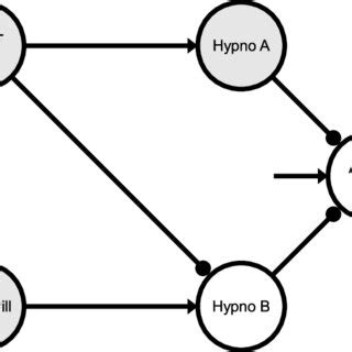 Image result for Recursion Pill