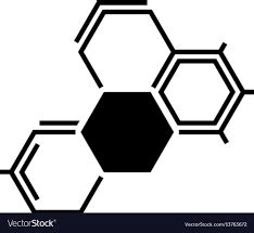DMLT Course in India | Birtikendrajit University