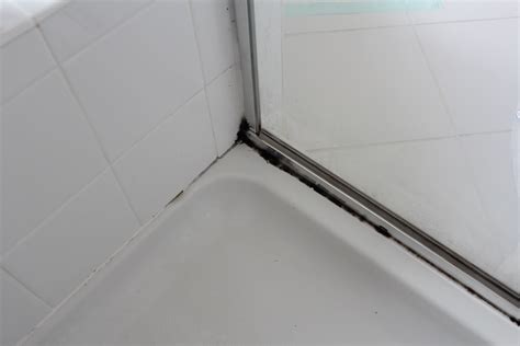 Black Mold Behind Bathroom Tiles at Savannah Buckmaster blog