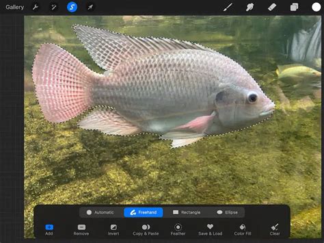 Image result for Remove Objects From Photo Procreate