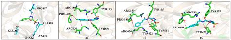 Discovery of Novel Dihydrolipoamide S-Succinyltransferase Inhibitors ...