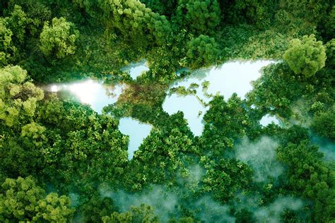 Sea spiders 'farm' methane-eating bacteria on their bodies | New Scientist