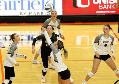 Destiny Opp hits double-digits kill count in Region 1 Tournament semis - Jamestown Sun | News ...