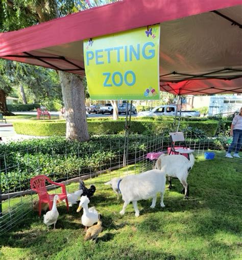 Petting zoo in 2025 | Petting zoo party, Zoo animals, Petting zoo rental