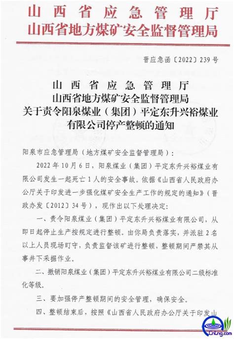 山西省两部门发布责令阳泉煤业（集团）平定东升兴峪煤业有限公司停产整顿的通知 - 煤炭要闻 - 液化天然气（LNG）网-Liquefied ...