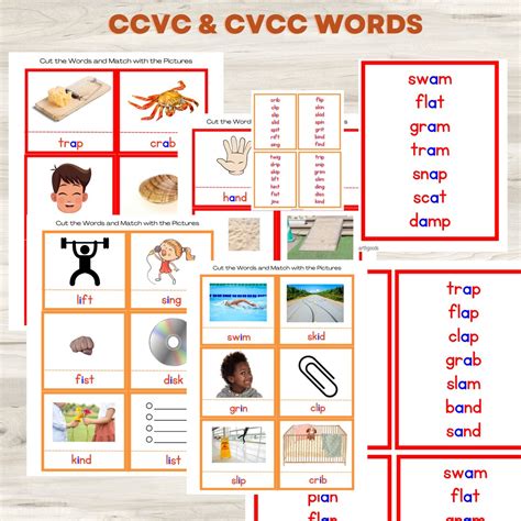 CCVC & CVCC Words Picture Cards | Montessori Language Cards ...